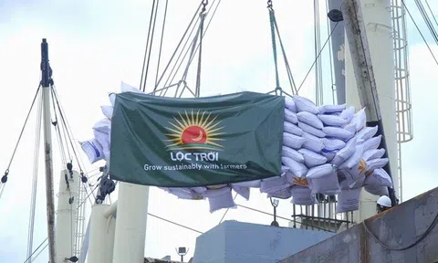 Lộc Trời lùi lịch họp ĐHĐCĐ thường niên năm 2025