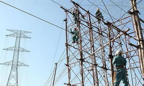 VNECO 9 (VE9): Toàn bộ HĐQT từ nhiệm sau khi xuất hiện nhóm cổ đông lớn mới
