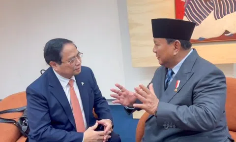 Việt Nam, Indonesia nhất trí thúc đẩy ký kết hiệp định thương mại gạo