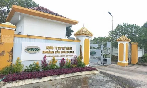 Khoáng sản Quảng Nam (MIC): Kế hoạch trả cổ tức 55% và chào bán 50 triệu cổ phiếu để M&A