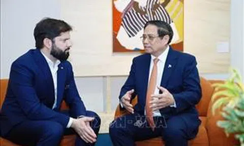 Việt Nam coi trọng quan hệ và thúc đẩy hợp tác nhiều mặt với Chile