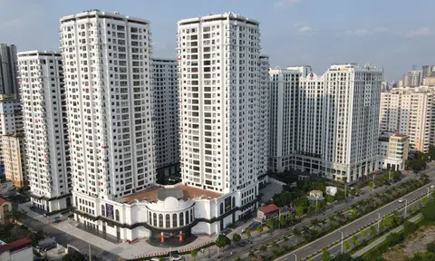 Thiếu hụt nhà ở toàn cầu gia tăng dưới áp lực đô thị hóa