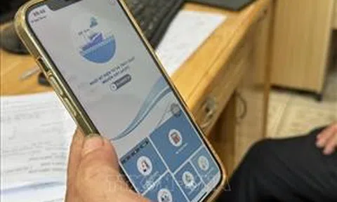 Số hóa quản lý tàu cá