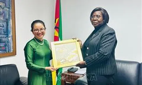 Thủ tướng Mozambique cam kết thúc đẩy hợp tác toàn diện với Việt Nam