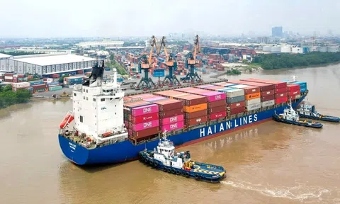 Lãi quý I tăng 294%, Xếp dỡ Hải An (HAH) chốt kế hoạch trả cổ tức 30% bằng cổ phiếu
