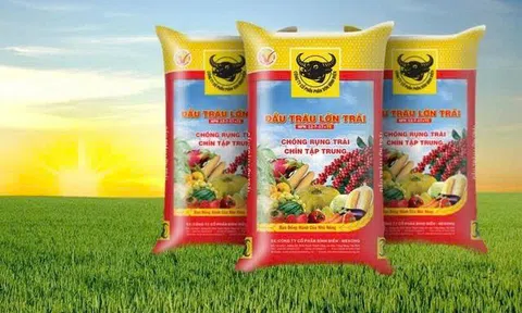 Phân bón Bình Điền (BFC) ước lãi quý II/2025 đạt hơn 184 tỷ đồng