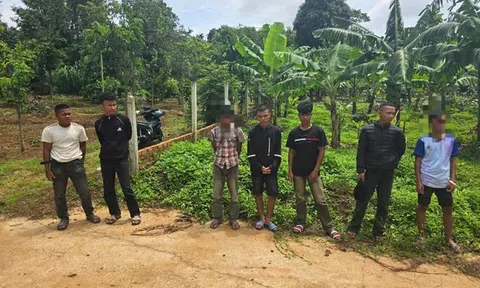 Khởi tố nhóm đối tượng dàn cảnh cướp giật tài sản để lấy tiền ăn nhậu