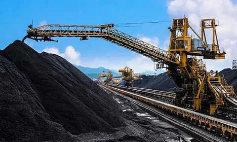 Bimico (BMC) dự kiến chi hơn 16 tỷ đồng trả cổ tức cho cổ đông