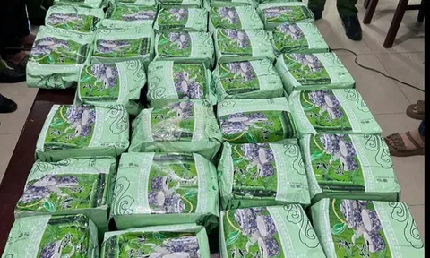 Phá đường dây mua bán 60 bánh heroin và 37kg ma tuý đá