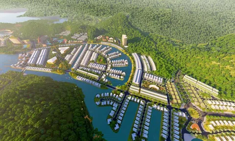 Vinaconex (VCG) thoái vốn, 'lộ diện' hai cổ đông lớn nắm giữ gần 48% tại Vinaconex ITC (VCR)