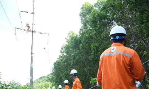 Công an vào cuộc vụ người dân chặt keo làm đứt đường dây điện 110KV