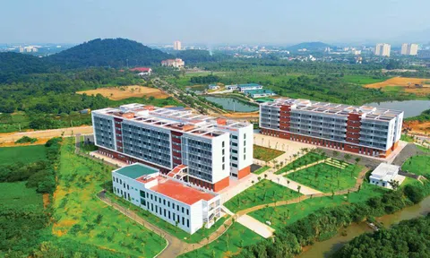 Nghị định 201/2025/NĐ-CP: Tăng quyền tự chủ cho đại học quốc gia
