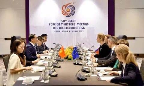 Việt Nam, EU dành ưu tiên cao thúc đẩy hợp tác thương mại, đầu tư