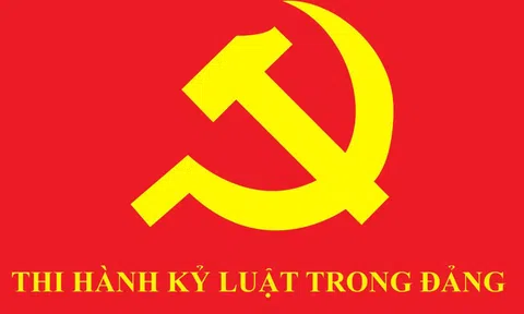 Bộ Chính trị, Ban Bí thư xem xét, thi hành kỷ luật đảng viên vi phạm