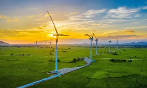 Quảng Trị: Chấp thuận chủ trương đầu tư dự án nhà máy điện gió hơn 1.200 tỷ đồng