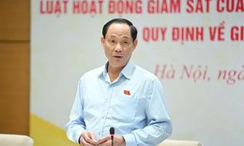 Phó Chủ tịch Quốc hội: Giám sát để mở đường phát triển