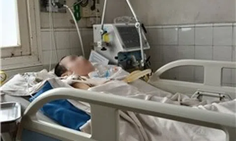 Viêm não Nhật Bản gia tăng ở người lớn, bệnh nặng, di chứng lâu dài