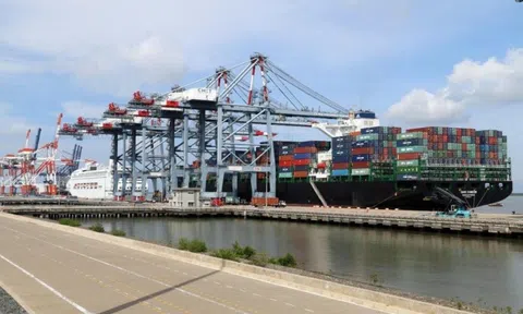 Cảng Đồng Nai (PDN): Lợi nhuận quý II/2025 tăng đột biến gần 50%, vượt 62% kế hoạch năm