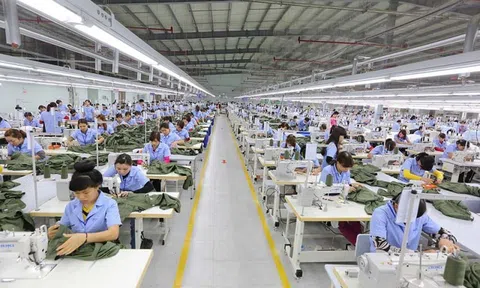 Cổ đông của May mặc Bình Dương (BDG) sắp nhận được khoảng 62 tỷ đồng tiền trả cổ tức