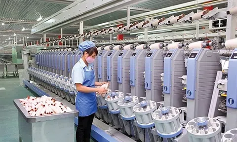 Hà Nội sắp có thêm nhà máy dệt may rộng hơn 12.500m² tại Hoài Đức