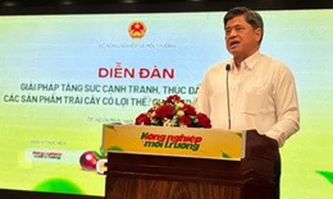 Thứ trưởng Trần Thanh Nam: Trái cây Việt không thể đi xa nếu cứ sản xuất nhỏ lẻ, manh mún
