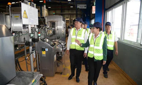 Thành lập Ban Quản lý Khu kinh tế tỉnh Đồng Tháp