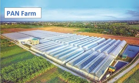 Công ty con của Tập đoàn Pan (PAN) trả nợ trước hạn 200 tỷ đồng trái phiếu