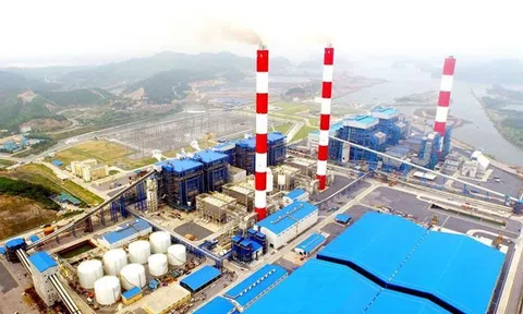 Nhiệt điện Phả Lại (PPC): Lợi nhuận quý II/2025 sụt giảm mạnh, dòng tiền kinh doanh âm