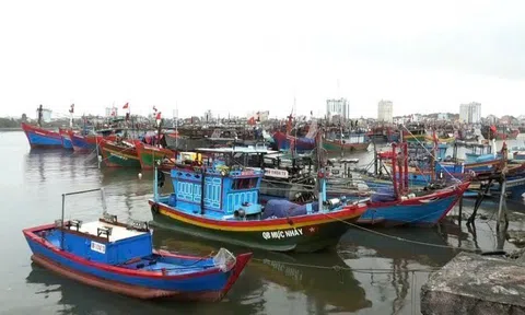 Quảng Trị cứu 7 ngư dân bị chìm tàu, chủ động ứng phó cơn bão số 3