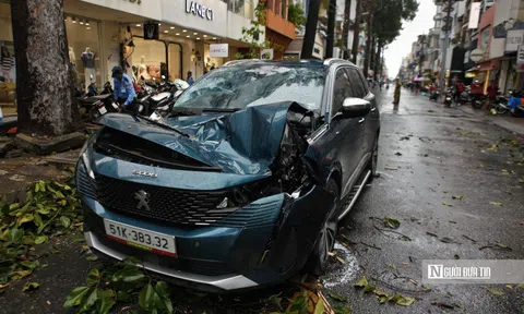 Tp.HCM: Cây to lâu năm gãy đổ đè phương tiện lưu thông trên đường