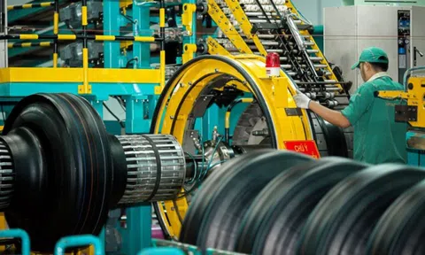 Lợi nhuận của Cao su Đà Nẵng (DRC) bị 'bào mòn' tới gần 60% trong quý II/2025 do giá nguyên liệu tăng cao
