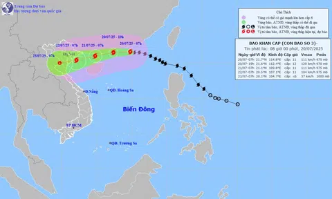 Bộ Công Thương: Tập trung toàn ngành, triển khai '4 tại chỗ' để ứng phó với bão số 3