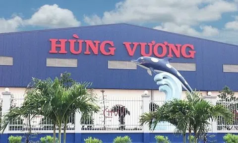 ‘Vua cá tra’ Hùng Vương (HVG) bị xử phạt vì vi phạm công bố thông tin suốt 3 năm