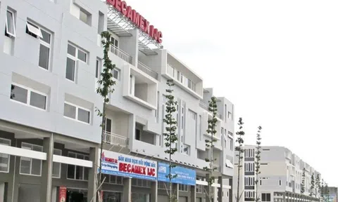 Becamex IJC (IJC): Doanh thu giảm 55% nhưng lợi nhuận tăng 73% nhờ giá vốn âm, sắp huy động 2.500 tỷ