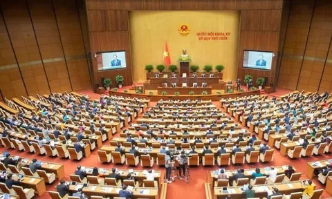 Nghị quyết của Ủy ban Thường vụ Quốc hội khóa XV