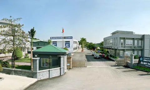 Cổ phiếu DGC tăng 41% từ đáy, Dragon Capital bán ra giảm sở hữu