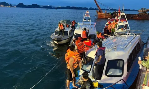 Yêu cầu doanh nghiệp bảo hiểm khẩn trương hỗ trợ thiệt hại vụ lật tàu Vịnh Xanh 58