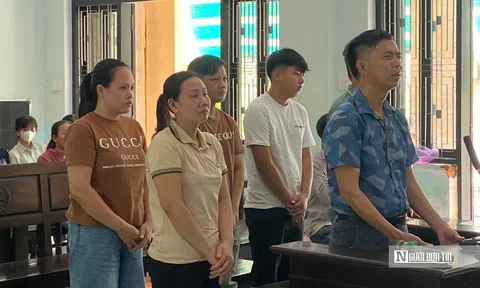 Sản xuất kính ô tô giả, 6 bị cáo ở Huế lĩnh án