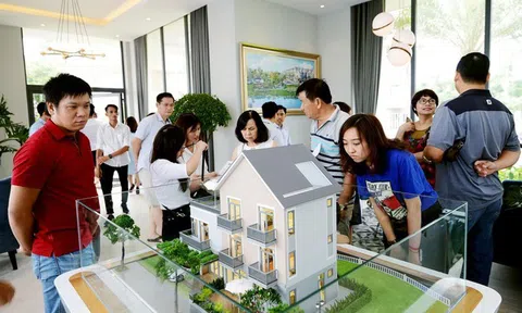20 năm tiết kiệm mới đủ tiền mua nhà: Người trẻ Việt chịu lỡ dở giấc mộng an cư?