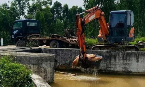 Bắt đối tượng vứt lợn chết bừa bãi, gây ô nhiễm môi trường