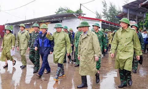 Kiên quyết đưa ngư dân đi tránh bão, có phương án bảo vệ tài sản