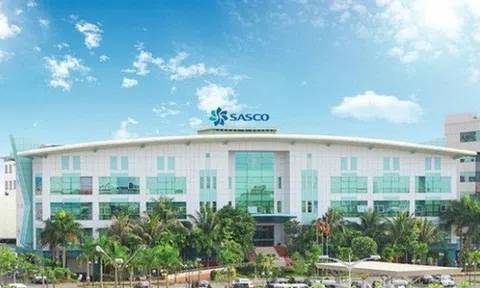 SASCO (SAS): Lợi nhuận quý 2 tăng 61% nhờ phục hồi khách quốc tế