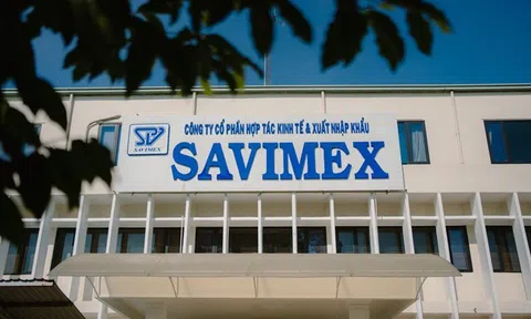 Do khoản đầu tư rớt giá, Savimex (SAV) báo lỗ nặng trong quý II/2025