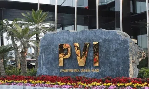 PVI (PVI): Lợi nhuận quý II tăng 53% nhờ kinh doanh bảo hiểm tăng trưởng mạnh