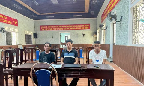 Truy vết xuyên tỉnh, bắt “nóng” nhóm đối tượng trộm cây cảnh giá trị cao ở Huế