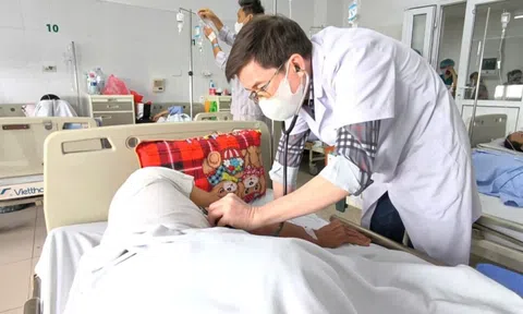 Thêm hai ca viêm màng não do liên cầu khuẩn lợn