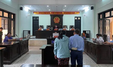 Thực hiện 11 vụ lừa đảo chiếm đoạt gần 29 tỷ đồng, người phụ nữ trả giá đắt