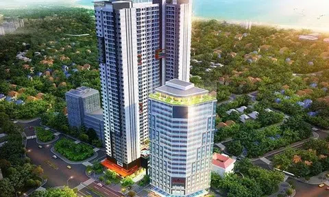 Đầu tư Việt Tâm chậm thanh toán gần 37 tỷ đồng phí quản lý trái phiếu