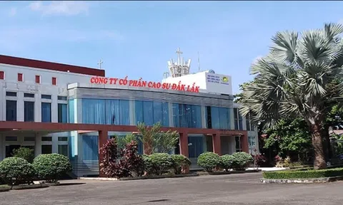 Đầu tư Cao su Đắk Lắk (DRI) báo lãi bán niên kỷ lục, hoàn thành 68% kế hoạch năm