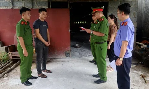 Khởi tố 2 đối tượng giết mổ, tiêu thụ thịt lợn nhiễm bệnh dịch tả châu Phi